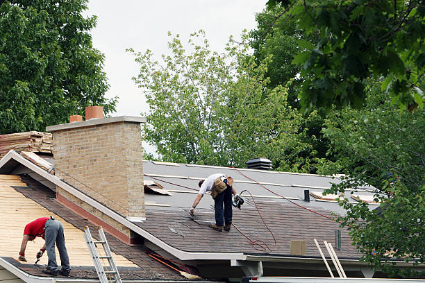 Best Roof Gutter Cleaning  in Johnson City, TX