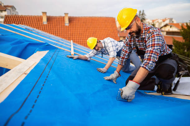 Best Storm Damage Roof Repair  in Johnson City, TX