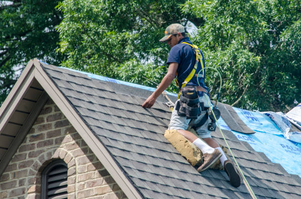 Best Gutter Installation and Roofing  in Johnson City, TX